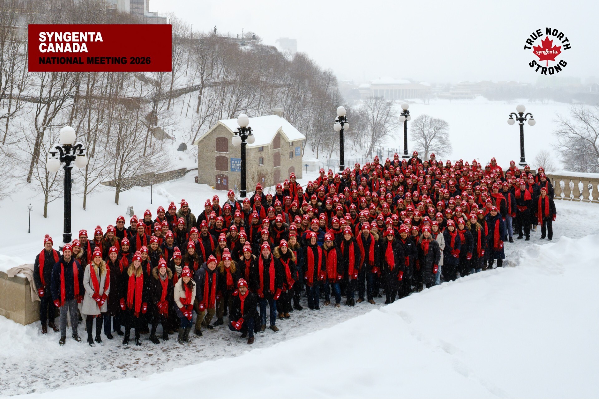 Team Syngenta Canada