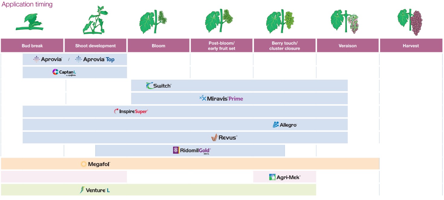 Application timing