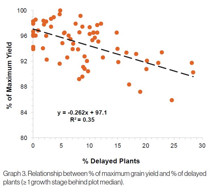 Golden Harvest | Effect of Uneven Emergence on Corn Yield Potential