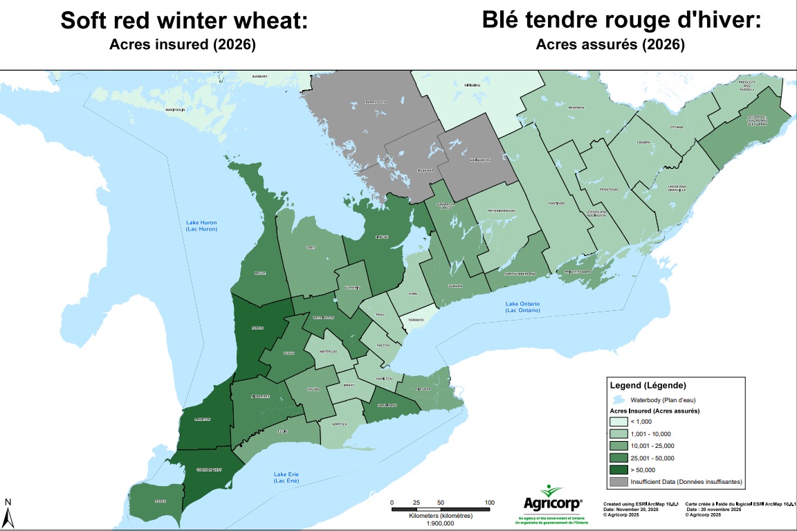 Ontario insured winter wheat acres