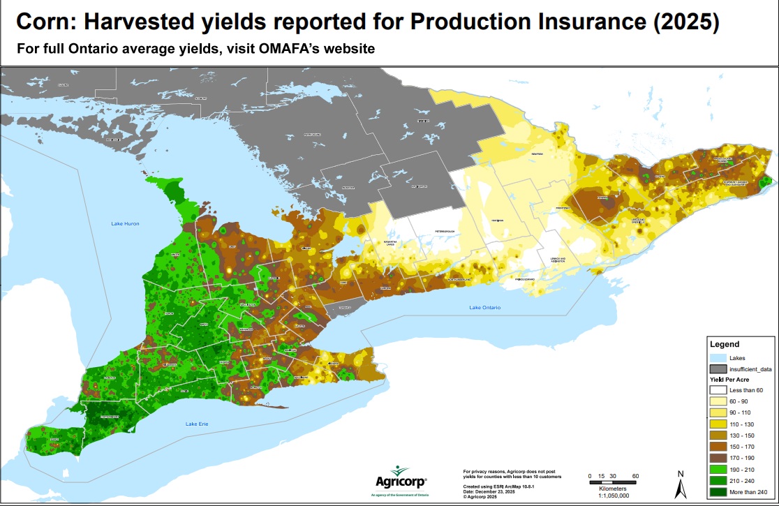 Agricorp Ontario corn yields