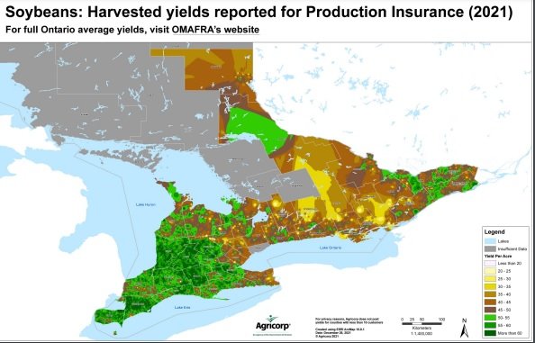 Soybean yields reported to Agricorp