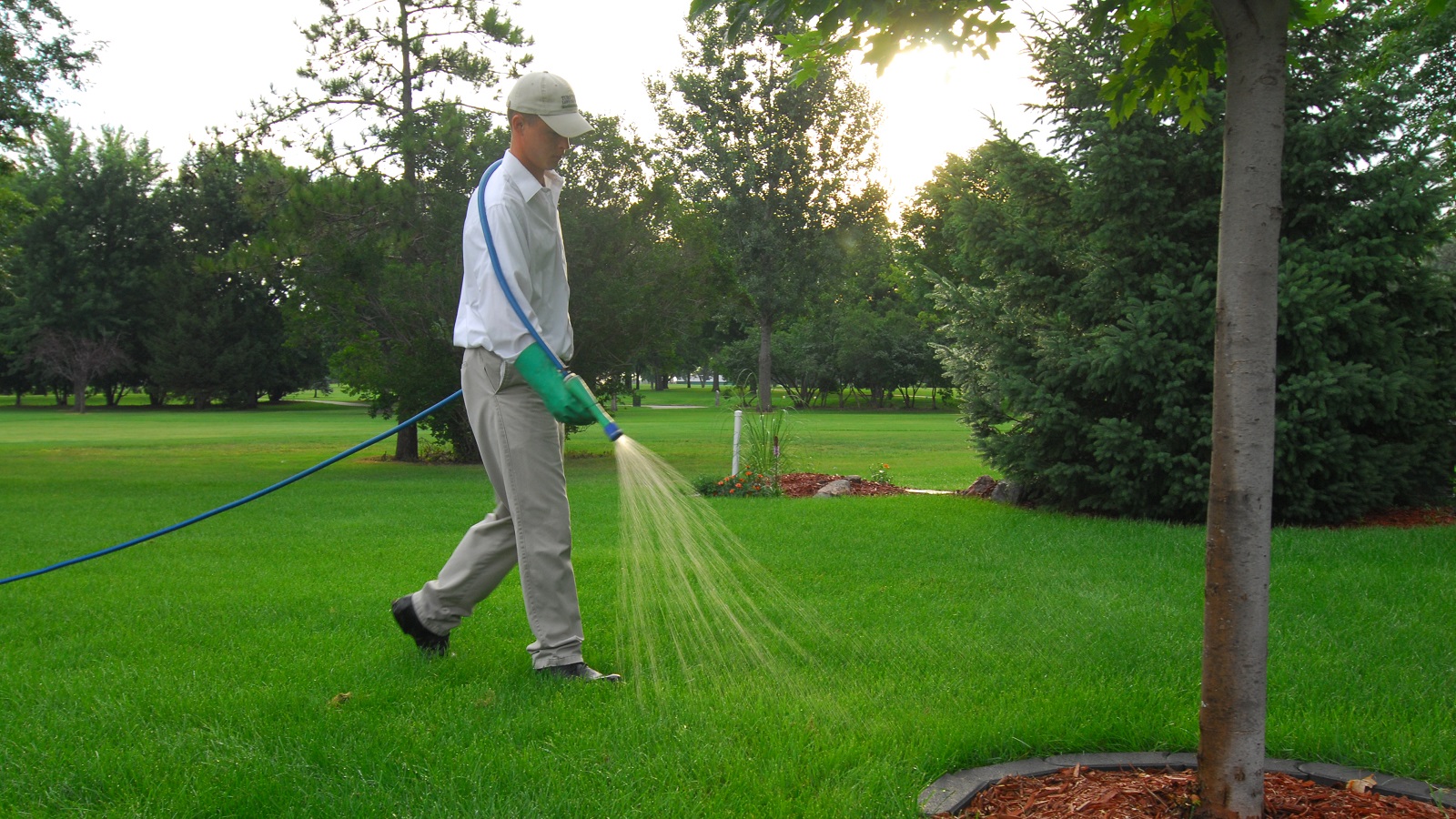 An LCO on a lawn, applying Primo Maxx PGR.