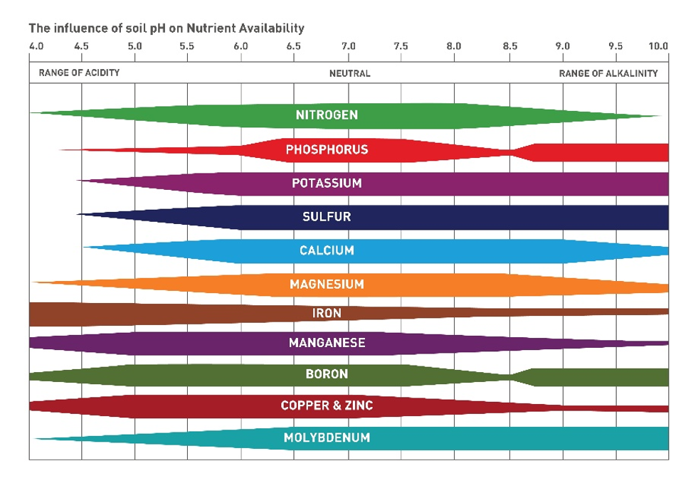 Chart showing the influence of soil pH on nutrient availability