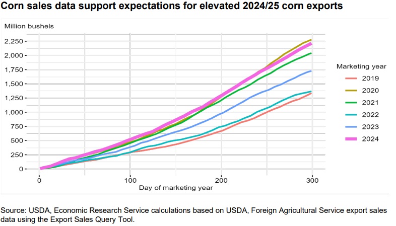 US Corn Exports