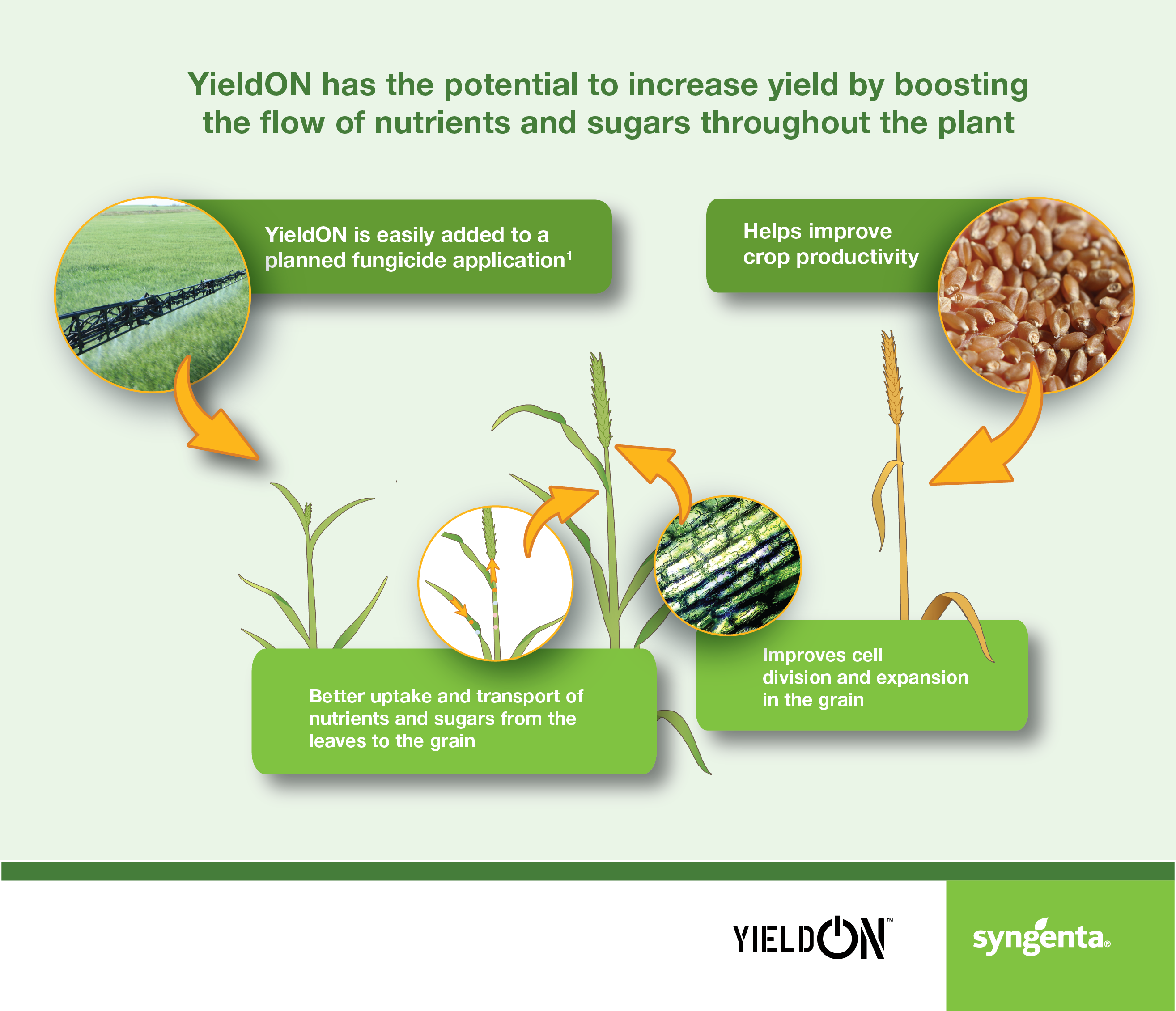 YieldOn infographic