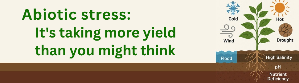 Abiotic stress can reduce crop yield