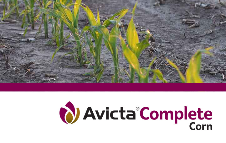 Avicta Complete Corn with Vibrance