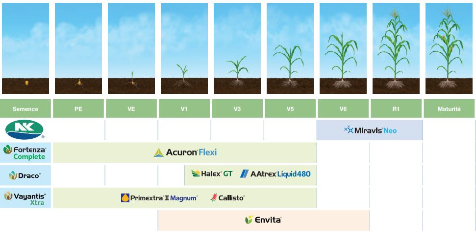 Visual of Corn Application chart