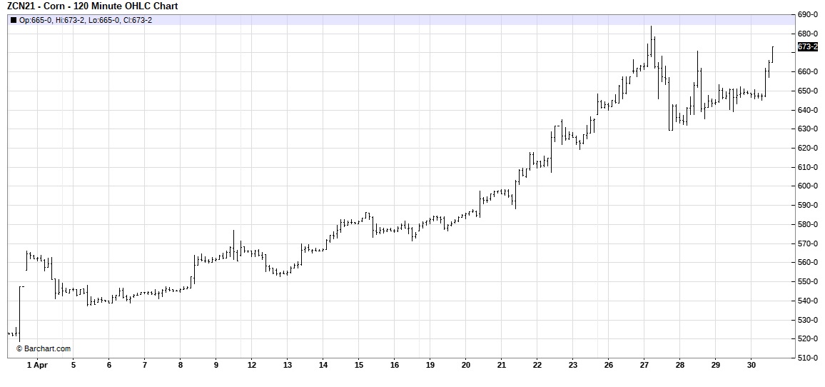 July corn