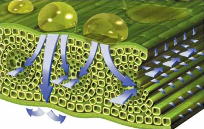 2016417201638152819_dmi-chemistry-thumbnail.jpg