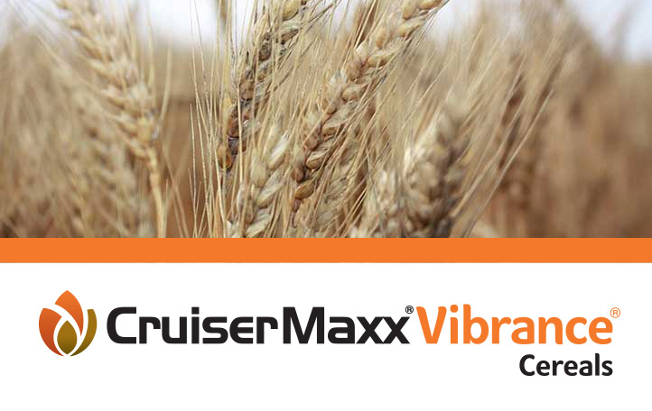 CruiserMaxx Vibrance Cereals