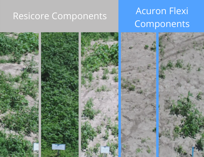 Acuron Flexi - Herbicide Product & Label Information ...