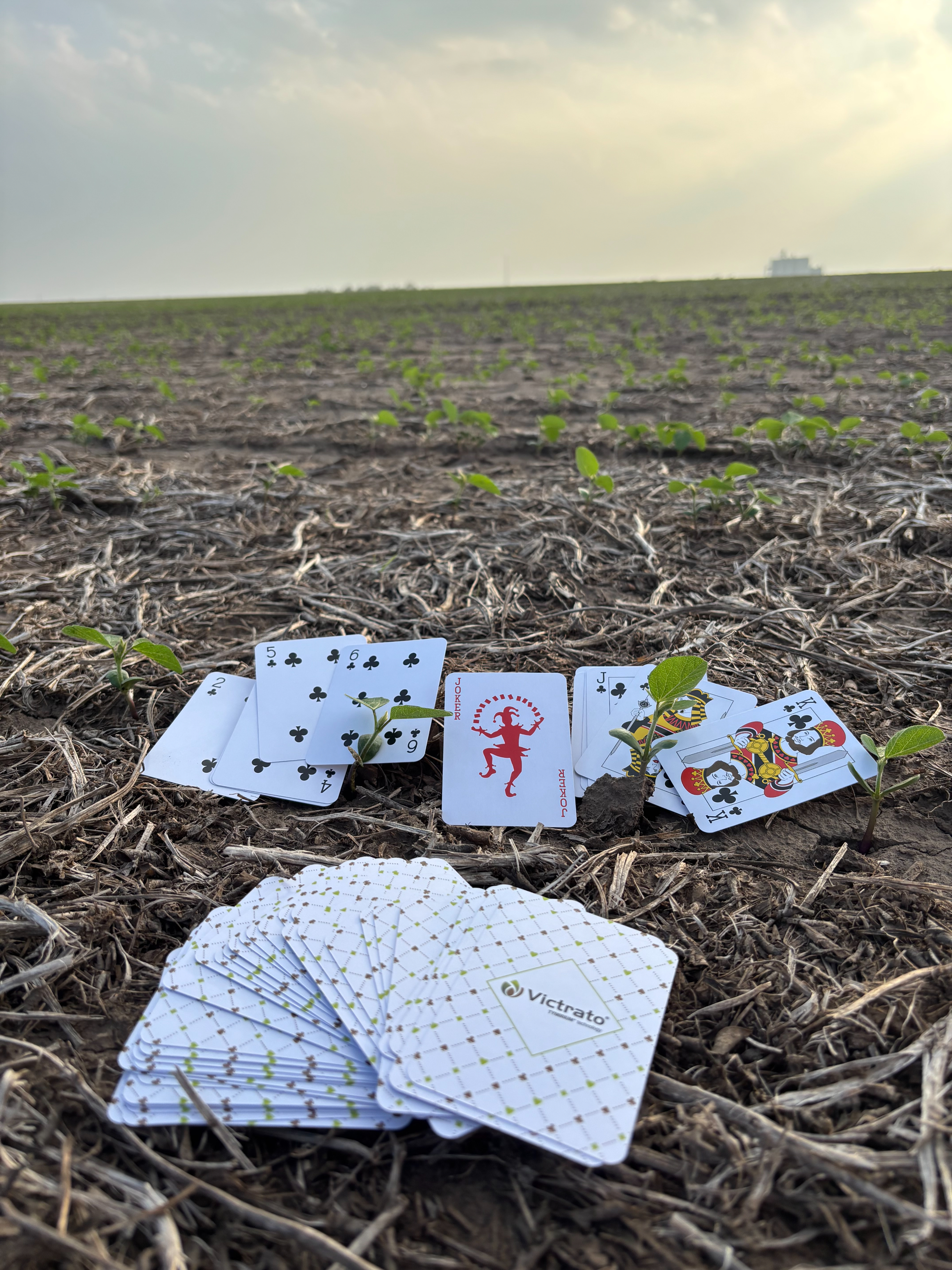 Field testing