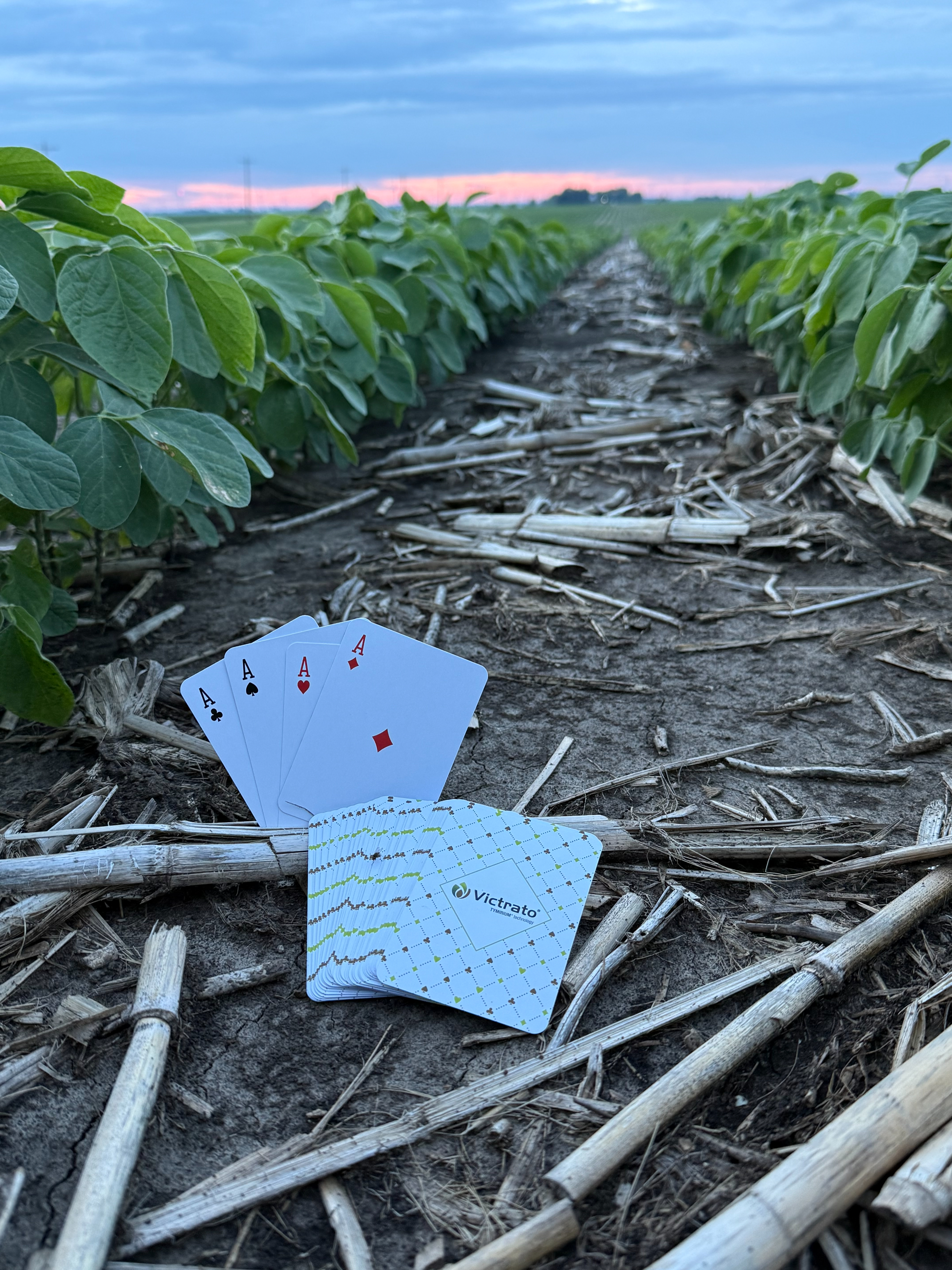 Crop rows