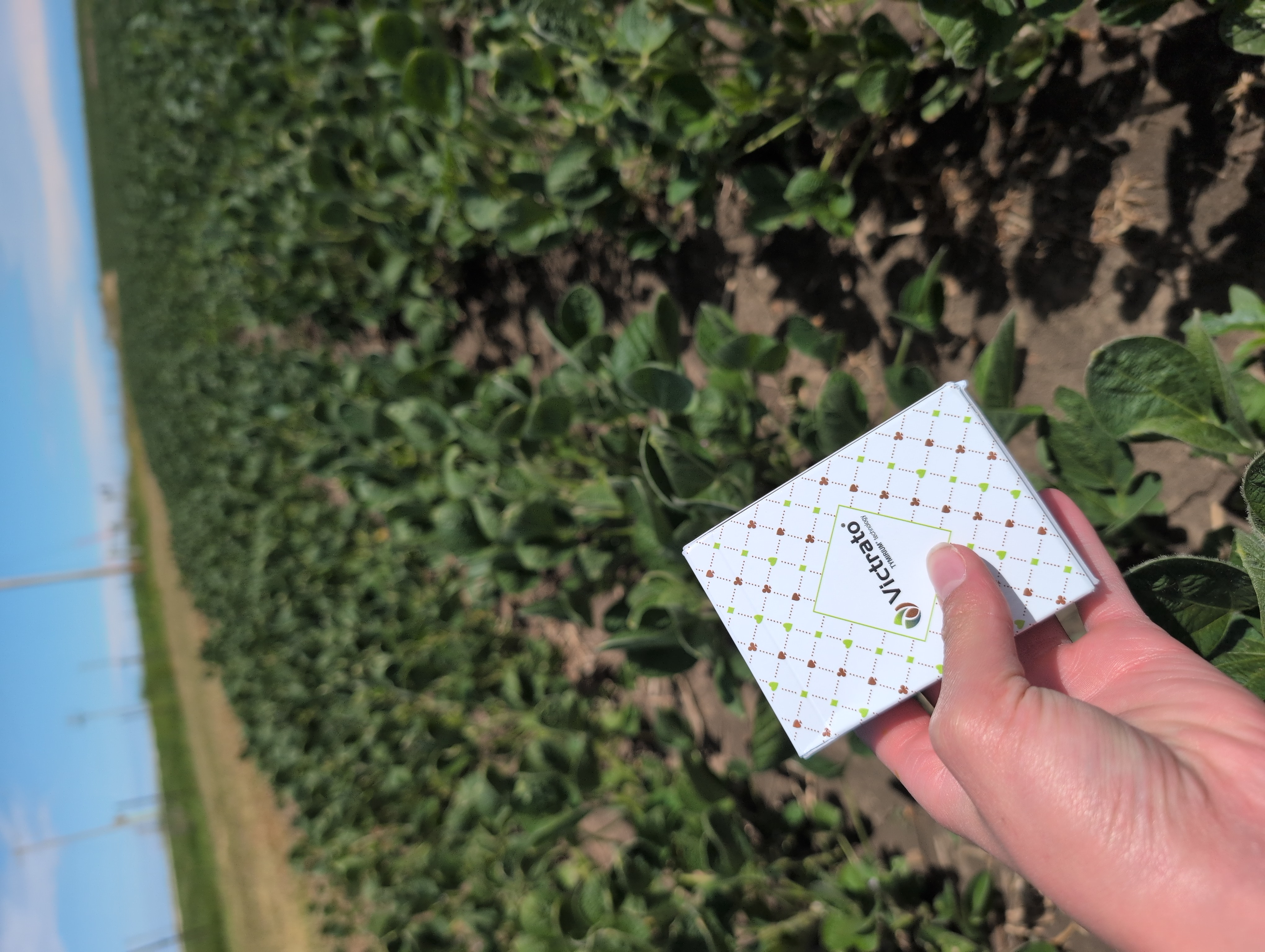 Seed treatment