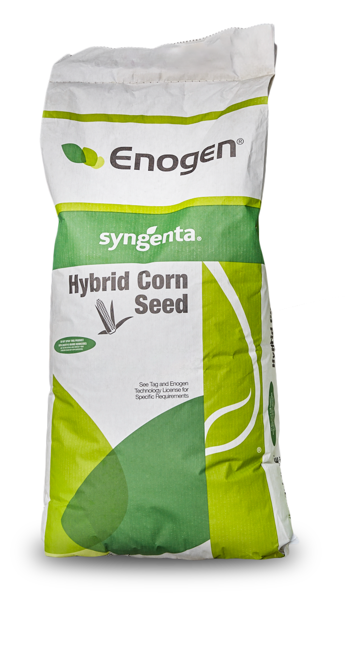 Nondescript bag of golden harvest corn seed