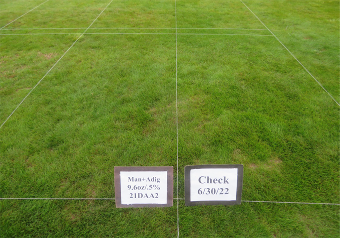 celsius label herbicide Buy Celsius and Certainty Herbicide Kit