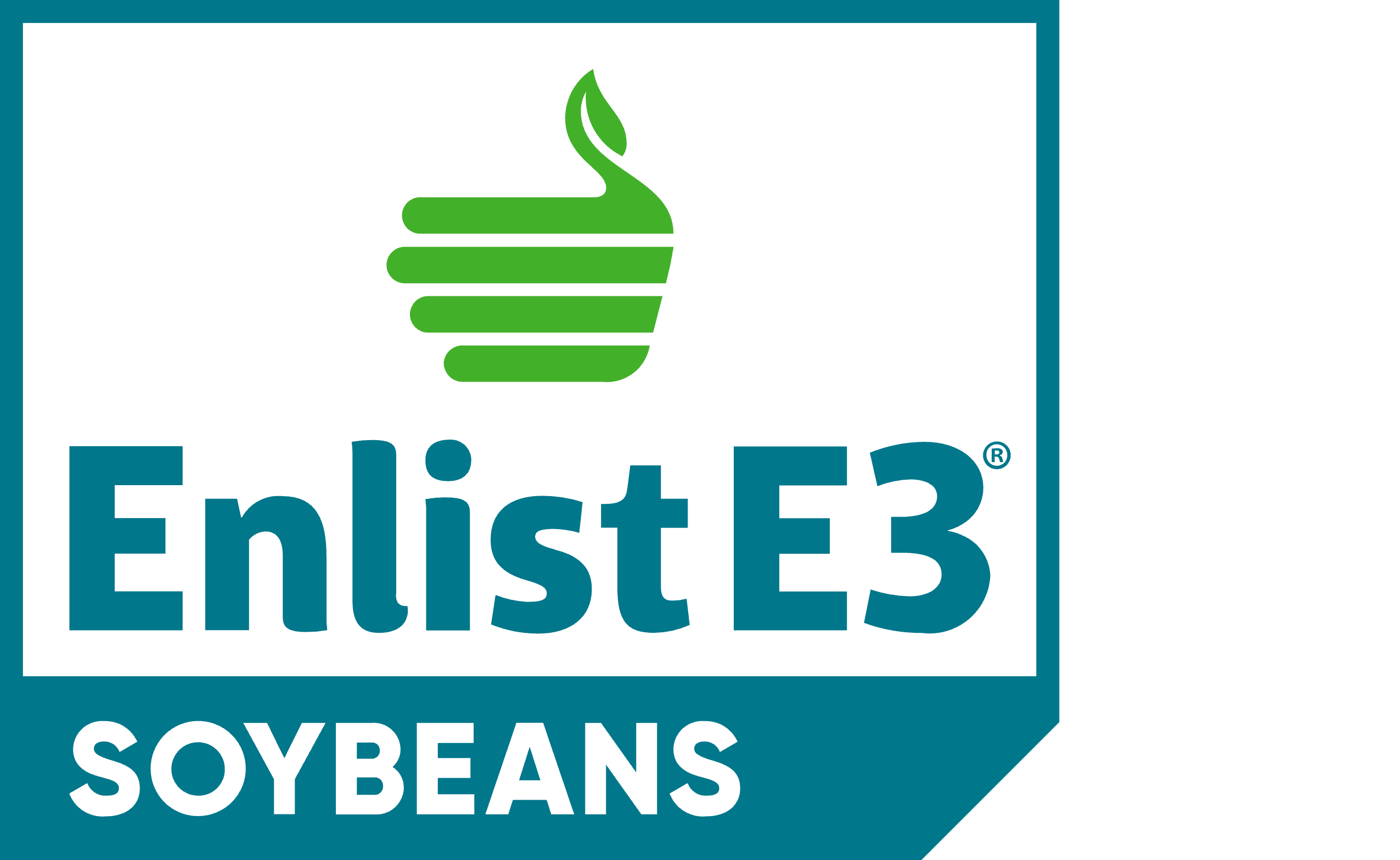 Soybean-only-web Logo