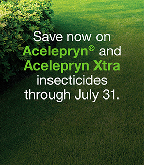 Save now on Acelepryn® and Acelepryn Xtra insecticides through July 31.