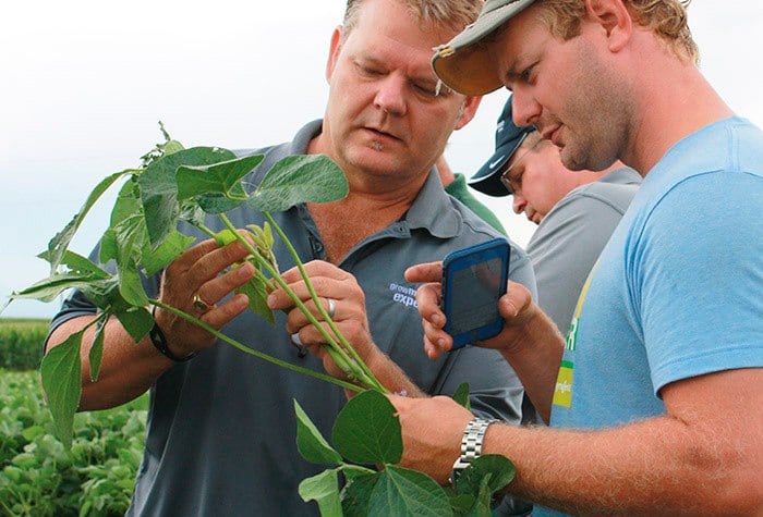 Brad Schindler (left) with Syngenta and Jeremy Galles (right) from Remsen, Iowa, examine soybean foliage at the Carroll, Iowa, site.