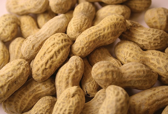 Healthy peanuts are harvested in Georgia.