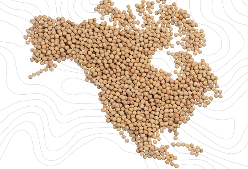 Seed Selection Well-Suited to Geography Maximizes Yield Potential