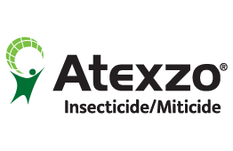 Atexzo