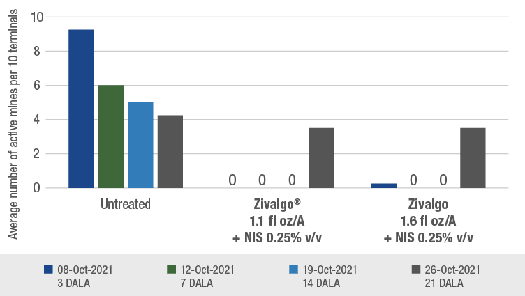 Bar chart showing the impact of Zivalgo in controlling leafminer damage in citrus groves during a 2021 trial in Vero Beach, Florida.