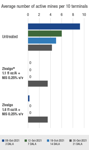 Bar chart showing the impact of Zivalgo in controlling leafminer damage in citrus groves during a 2021 trial in Vero Beach, Florida.