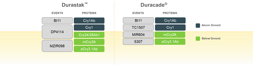 Charts comparing modes of action in Durastak and Duracade corn rootworm trait stacks.