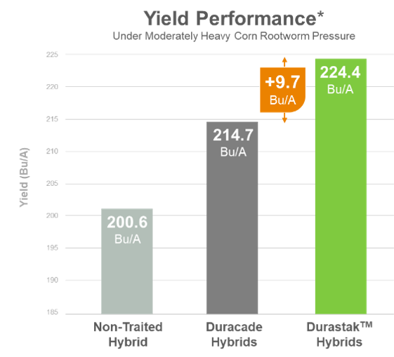 Chart showoing yield advantage of Durastak corn hybrids versus non-traited corn hybrids under moderately heavy corn rootworm pressure.