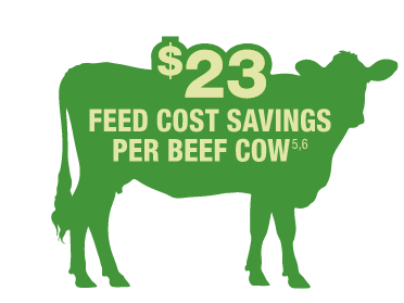 A drawing of a cow with the statistic that Enogen can save up to $23 per beef cow, data from Jolly-Breithaupt et al 2019.