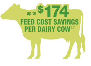 A drawing of a cow with the statistic that Enogen can help dairy producers save up to $100 to $174 per milking cow, data from Cueva et al. 2021.