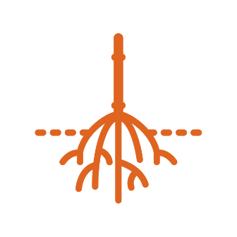 fit root