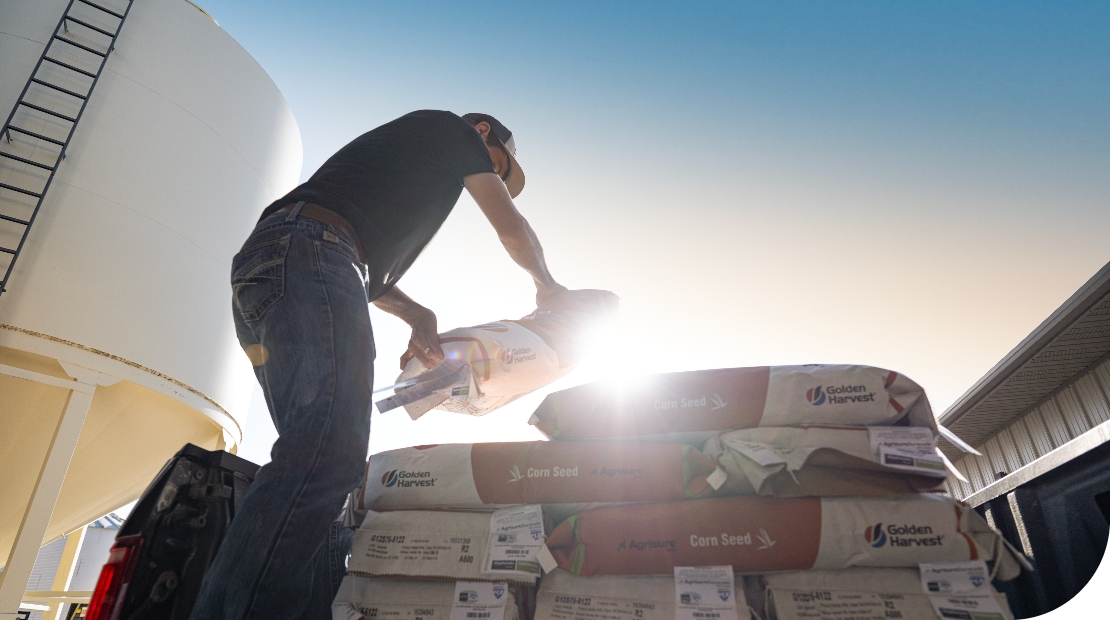 sun shining behind man stacking bags of golden harvest seed