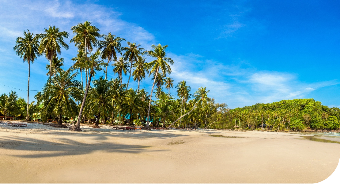 beach in mexico with blue skies and palm trees