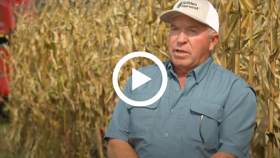 Hear Lance Panzier's soybean and corn success 