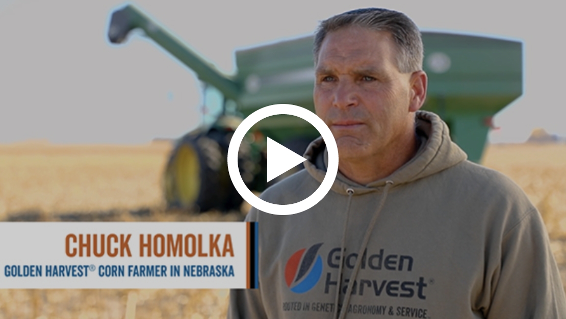 Hear about Proven corn performance from Chuck Homolka