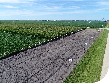 field at Farm of the Future in Ottawa, Illinois