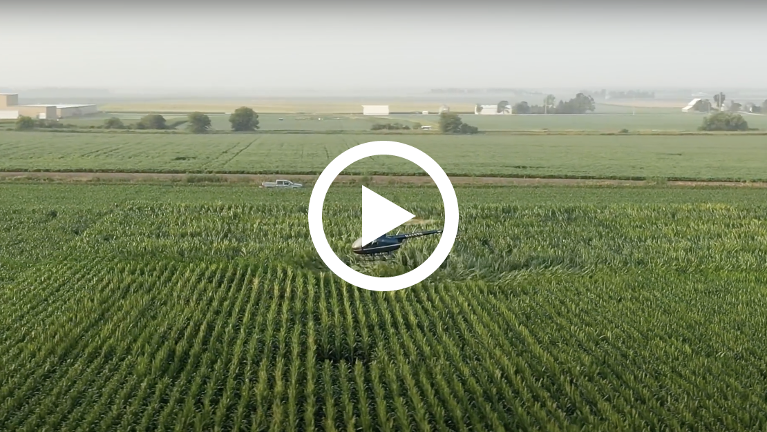 Hear Lance Panzier's soybean and corn success