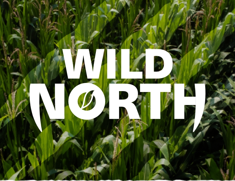 orange overlay on corn plants with claw slashes throughout