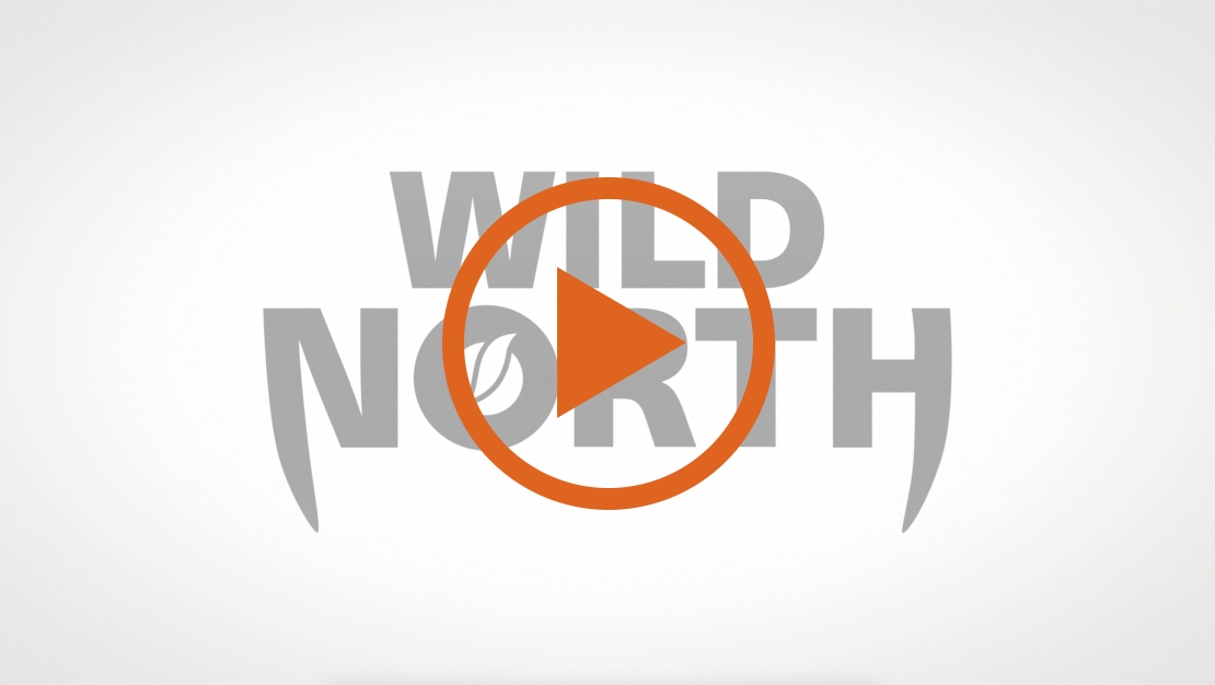 video introducing the wild north corn hybrid personas