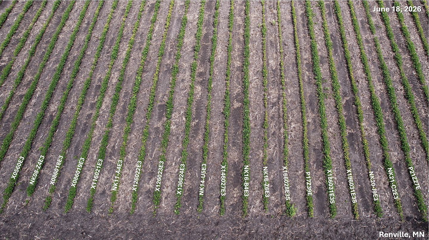 Showcasing IDC Strength within NK Portfolio; Renville, MN; June 18, 2026