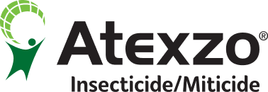 Atexzo logo
