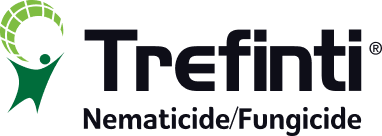 Trefinti logo