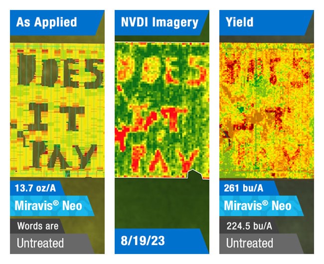 Miravis Neo fungicide pays off in investment with a yield bump over other fungicides or untreated.