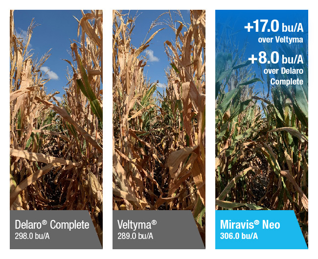 Delaro® Complete, 298.0 bu/A. Veltyma®, 289.0 bu/A. Miravis® Neo, 306.0 bu/A | +17.0 bu/A over Veltyma. +8.0 bu/A over Delaro Complete.