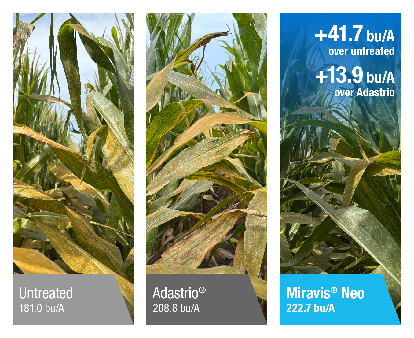 Untreated, 181.0 bu/A. Adastrio®, 208.8 bu/A. Miravis® Neo, 222.7 bu/A | +41.7 bu/A over untreated, +13.9 bu/A over Adastrio.