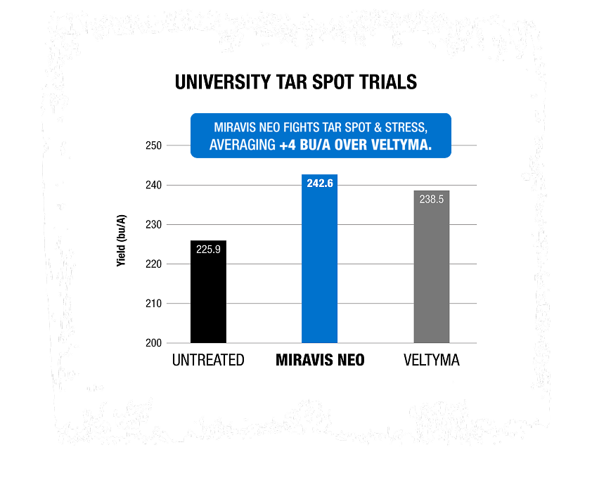 University Tar Spot Trials. Miravis Neo fights tar spot & stress, averaging +4 bu/A over Veltyma. Untreated, 225.9 bu/A. Miravis Neo, 242.6 bu/A. Veltyma, 238.5 bu/A